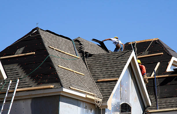 Best Storm Damage Roof Repair  in Leadville, CO